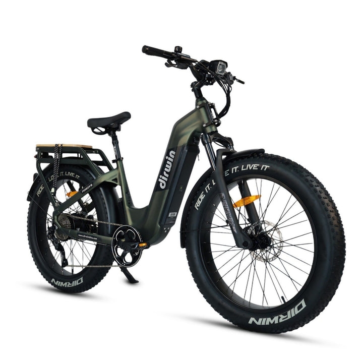 How do the Dirwin Pioneer and Pacer models compare?