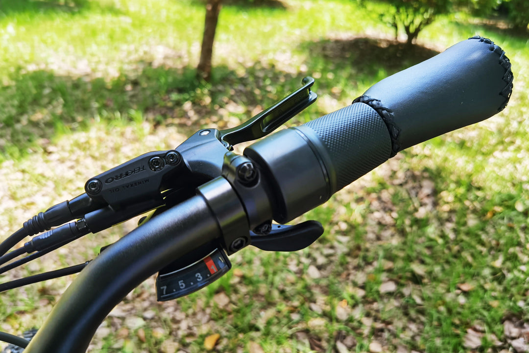 Caravan: Heavy Load Transport E-Bike