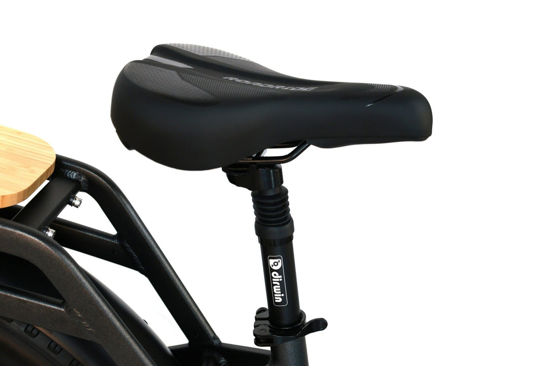 Electric Bikes Designed for All Terrains