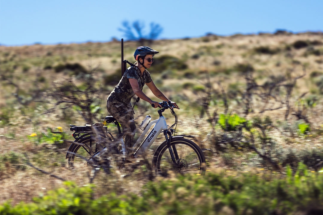 What are the best Dirwin e-bikes for outdoor adventures?