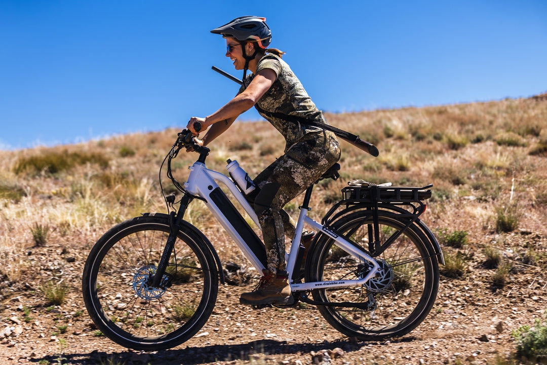 Why are fat tire electric bikes built for stability in Dirwin’s lineup?